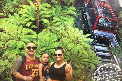 Blue Mountains Private Full-Day Tour From Sydney With Cruise - Phillip Island Accommodation 3