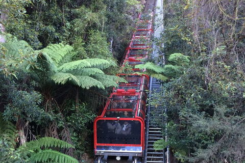 Blue Mountains Private Full-Day Tour From Sydney With Cruise - Phillip Island Accommodation 5