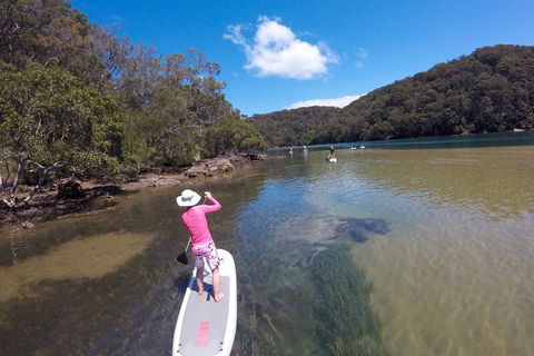 Ku-ring-gai Chase National Park Stand Up Paddleboard Tour - Phillip Island Accommodation 0