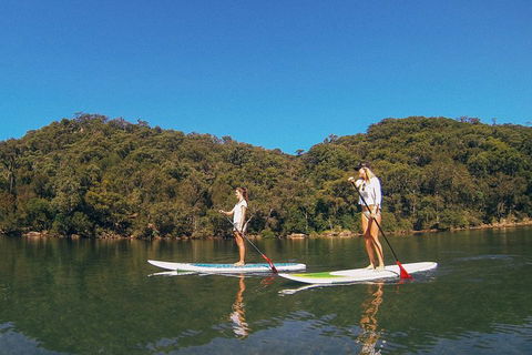 Ku-ring-gai Chase National Park Stand Up Paddleboard Tour - Phillip Island Accommodation 2