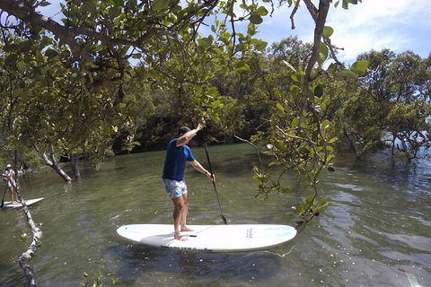 Ku-ring-gai Chase National Park Stand Up Paddleboard Tour - Phillip Island Accommodation 3