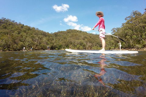 Ku-ring-gai Chase National Park Stand Up Paddleboard Tour - Phillip Island Accommodation 4