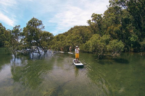 Ku-ring-gai Chase National Park Stand Up Paddleboard Tour - Phillip Island Accommodation 5