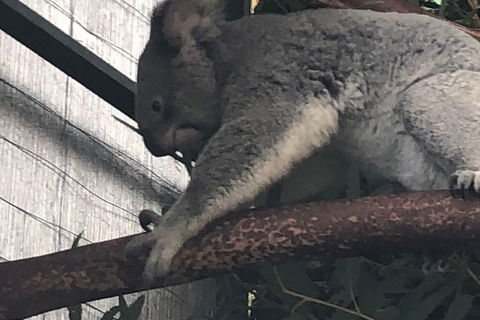 Perth Hills - Wildlife, Art & Gastronomy - Phillip Island Accommodation 3