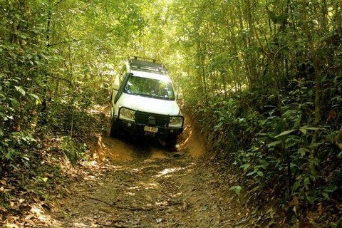 Barron Gorge And Kuranda National Park Half Day Rainforest And Waterfall 4WD Tour From Cairns - Phillip Island Accommodation 2