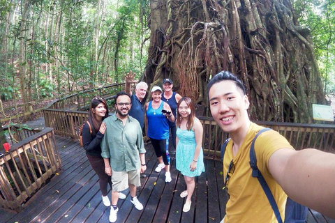 Barron Gorge And Kuranda National Park Half Day Rainforest And Waterfall 4WD Tour From Cairns - Phillip Island Accommodation 5