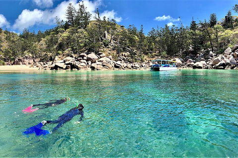 Aquascene Magnetic Island Discovery Tour - Phillip Island Accommodation 4