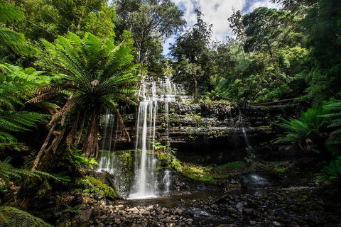 3-Day Tour To The Falls, Mountains, Lake & More Of West Coast Tasmania - Phillip Island Accommodation 4