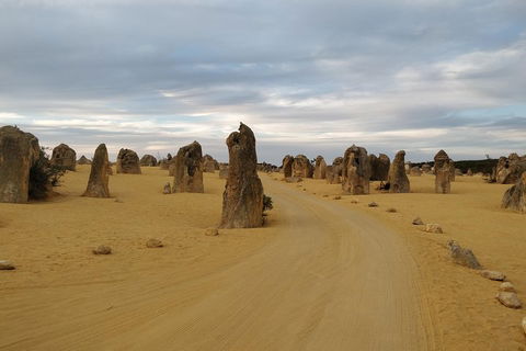 The Pinnacle Adventure Tour - Phillip Island Accommodation 1