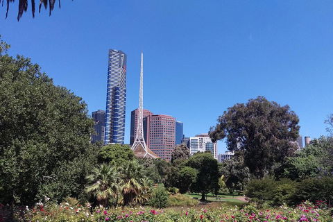 Melbourne City Private Tour - Phillip Island Accommodation 5