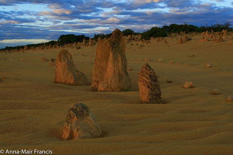 The Pinnacles, Sea And Dunescapes, Bush Reserve And Sunset Day Tour - Phillip Island Accommodation 1