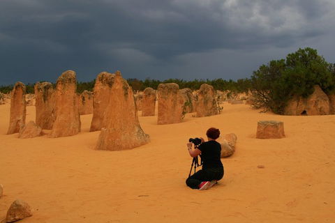 The Pinnacles, Sea And Dunescapes, Bush Reserve And Sunset Day Tour - Phillip Island Accommodation 2