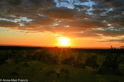 The Pinnacles, Sea And Dunescapes, Bush Reserve And Sunset Day Tour - Phillip Island Accommodation 3