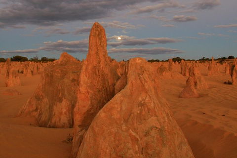 The Pinnacles, Sea And Dunescapes, Bush Reserve And Sunset Day Tour - Phillip Island Accommodation 4