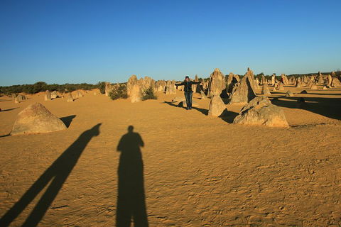 The Pinnacles, Sea And Dunescapes, Bush Reserve And Sunset Day Tour - Phillip Island Accommodation 5