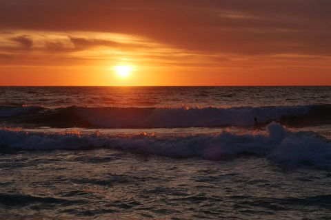 Australian Animals, Seascape And Sunset Photography Tour - Phillip Island Accommodation 5