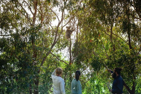 LGBT+ Friendly 3 Day Tour The Grampians, Daylesford & Ballarat - Phillip Island Accommodation 4