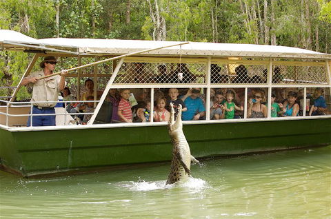 Hartley's Crocodile Adventure Half-Day Tour - Phillip Island Accommodation 0