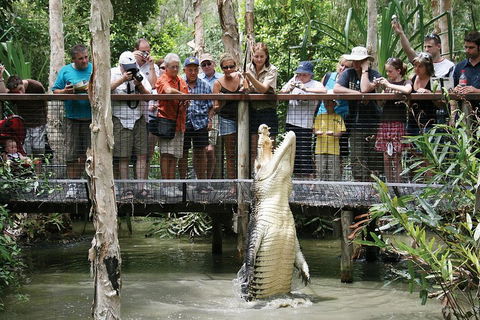 Hartley's Crocodile Adventure Half-Day Tour - Phillip Island Accommodation 1