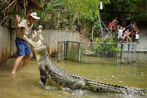 Hartley's Crocodile Adventure Half-Day Tour - Phillip Island Accommodation 2