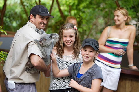 Hartley's Crocodile Adventure Half-Day Tour - Phillip Island Accommodation 3