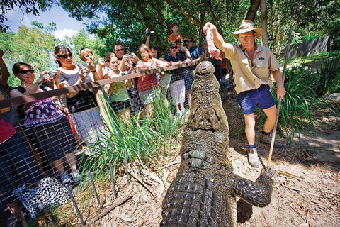 Hartley's Crocodile Adventure Half-Day Tour - Phillip Island Accommodation 4