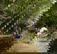 Discover Tour Dandenong Ranges  William Ricketts Sanctuary