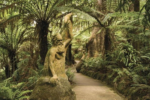 Discover Tour: Dandenong Ranges & William Ricketts Sanctuary - Phillip Island Accommodation 2