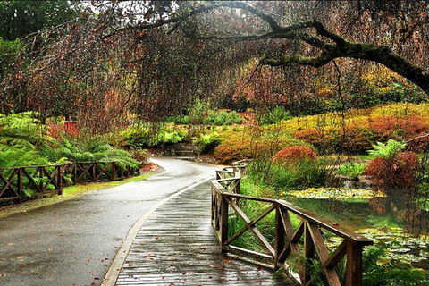 Discover Tour: Dandenong Ranges & William Ricketts Sanctuary - Phillip Island Accommodation 3