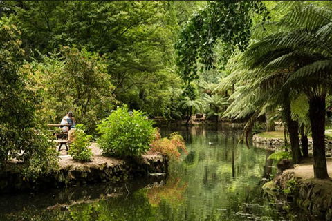 Discover Tour: Dandenong Ranges & William Ricketts Sanctuary - Phillip Island Accommodation 4