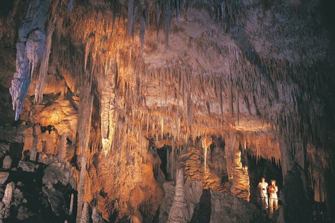 4 Day Tour: Albany, Margaret River, Valley Of The Giants TreeTop Walk From Perth - Phillip Island Accommodation 1