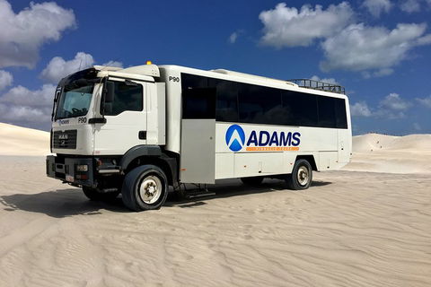 Pinnacles Desert, Koalas And Sandboarding 4WD Day Tour From Perth - Phillip Island Accommodation 2
