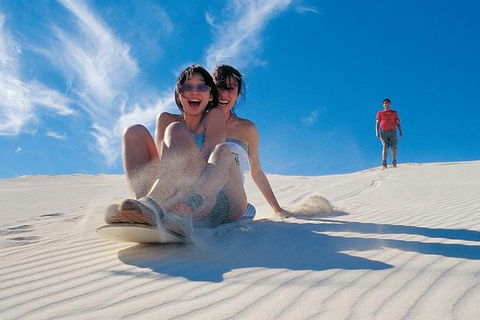 Pinnacles Desert, Koalas And Sandboarding 4WD Day Tour From Perth - Phillip Island Accommodation 3