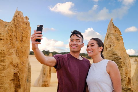 Pinnacles Desert, Koalas And Sandboarding 4WD Day Tour From Perth - Phillip Island Accommodation 4