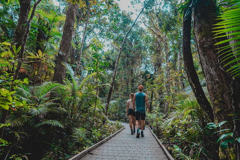 Full Day Cooktown Private Tour - Phillip Island Accommodation 0