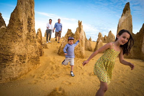 Full-Day Pinnacles Desert And Yanchep National Park Tour From Perth - Phillip Island Accommodation 0