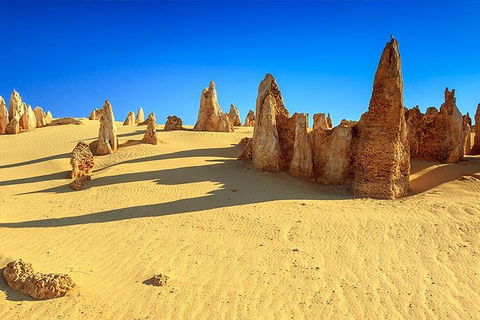 Full-Day Pinnacles Desert And Yanchep National Park Tour From Perth - Phillip Island Accommodation 2