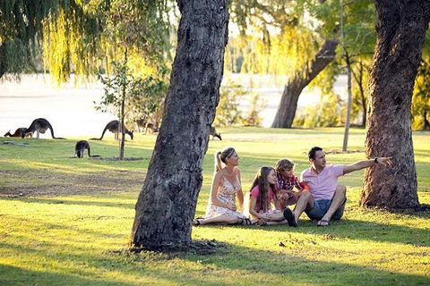 Full-Day Pinnacles Desert And Yanchep National Park Tour From Perth - Phillip Island Accommodation 3