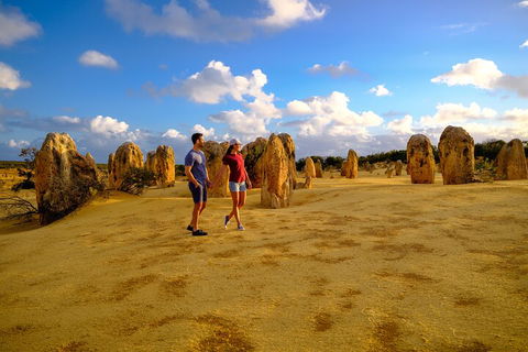 Full-Day Pinnacles Desert And Yanchep National Park Tour From Perth - Phillip Island Accommodation 4