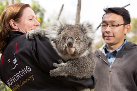 Bonorong Wildlife Park And Richmond Afternoon Tour From Hobart - Phillip Island Accommodation 0