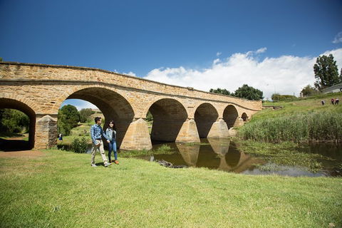 Bonorong Wildlife Park And Richmond Afternoon Tour From Hobart - Phillip Island Accommodation 2