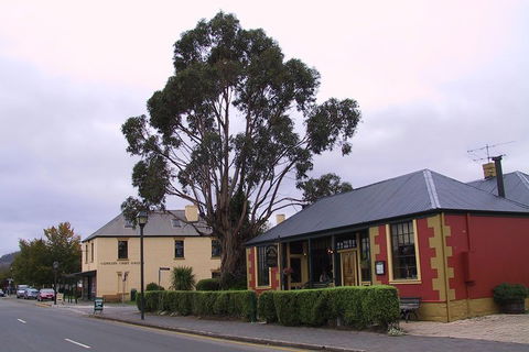Bonorong Wildlife Park And Richmond Afternoon Tour From Hobart - Phillip Island Accommodation 3