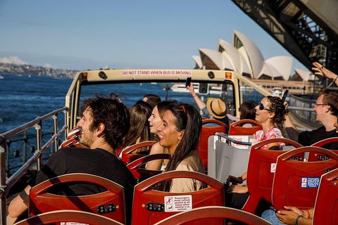 Hop-On Hop-Off Bus And PLUS 4 Merlin Attractions - Phillip Island Accommodation 1