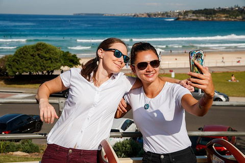 Hop-On Hop-Off Bus And PLUS 4 Merlin Attractions - Phillip Island Accommodation 4