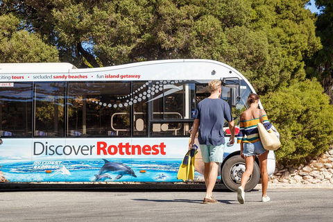 Discover Rottnest With Ferry & Bus Tour From Perth Or Fremantle - Phillip Island Accommodation 1