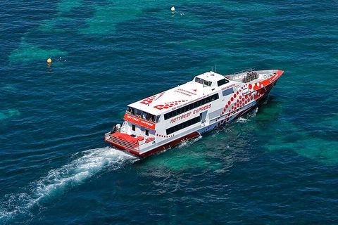 Discover Rottnest With Ferry & Bus Tour From Perth Or Fremantle - Phillip Island Accommodation 3