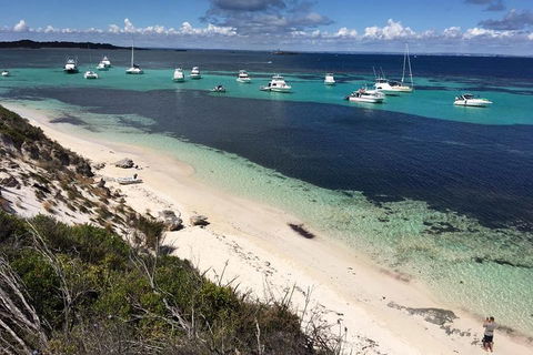 Experience Rottnest With Ferry & Bike Hire From Perth Or Fremantle - Phillip Island Accommodation 0
