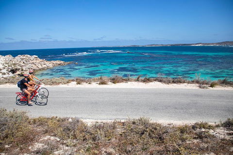 Experience Rottnest With Ferry & Bike Hire From Perth Or Fremantle - Phillip Island Accommodation 2