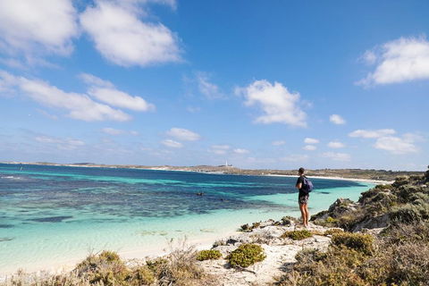 Experience Rottnest With Ferry & Bike Hire From Perth Or Fremantle - Phillip Island Accommodation 3