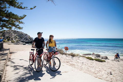 Experience Rottnest With Ferry & Bike Hire From Perth Or Fremantle - Phillip Island Accommodation 4